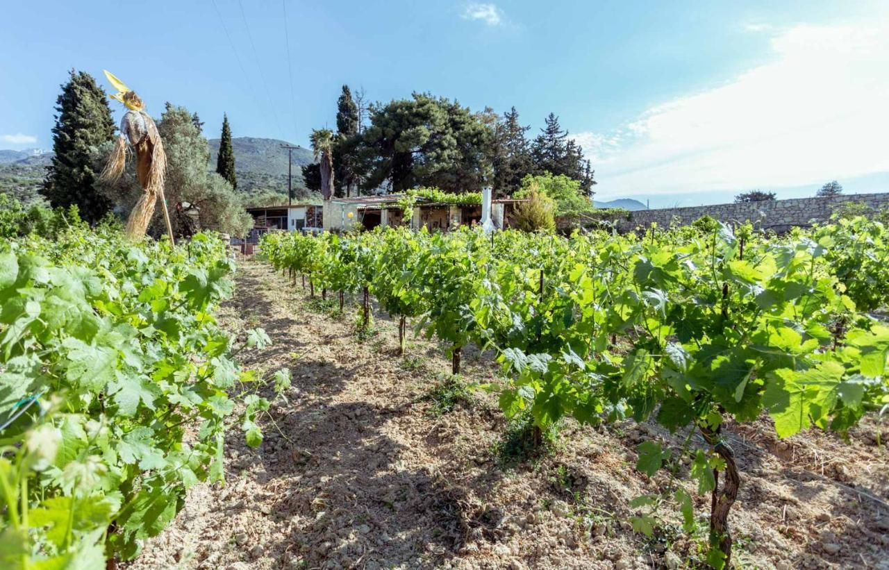 Nassibe Estate Βίλα Άγιος Ιωάννης Εξωτερικό φωτογραφία