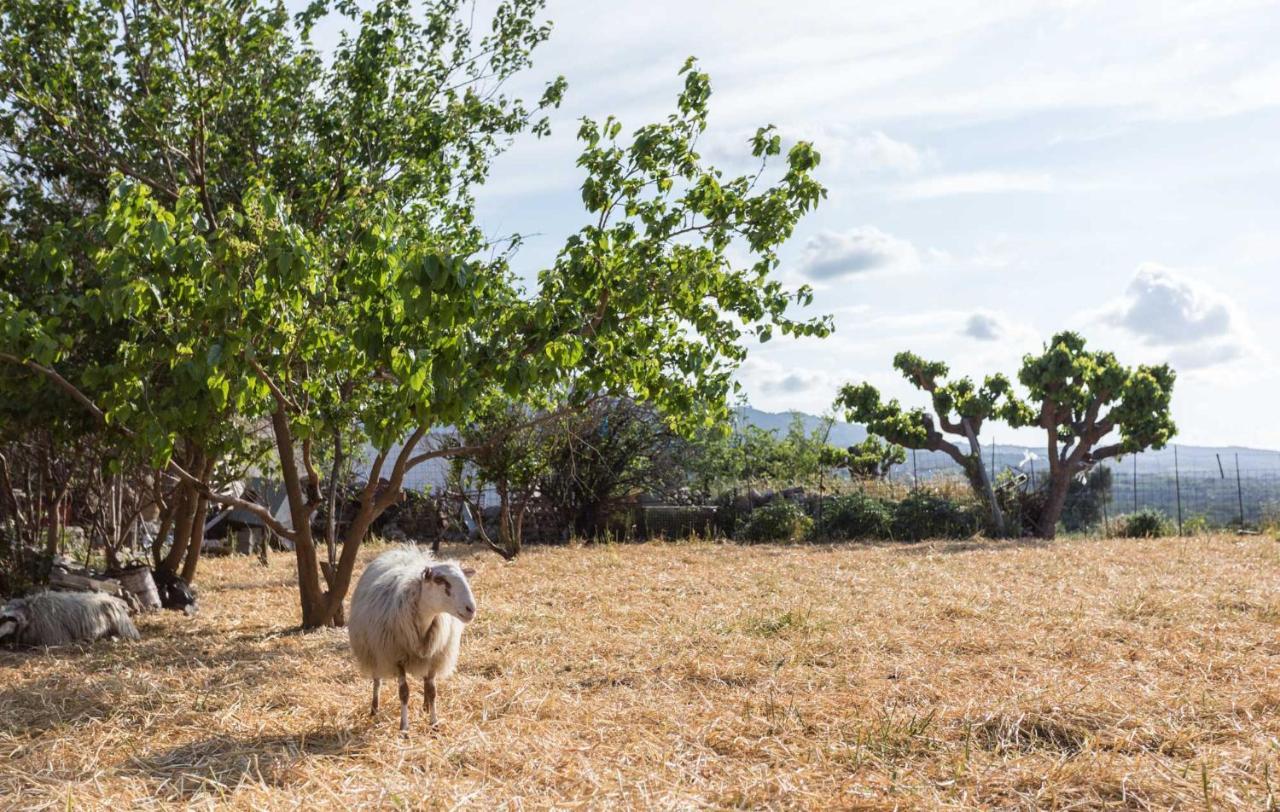 Nassibe Estate Βίλα Άγιος Ιωάννης Εξωτερικό φωτογραφία